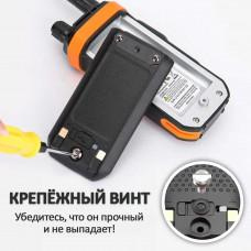 Baofeng UV 21 Pro V2, изображение модели